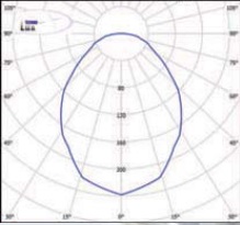  ������ ���� �����